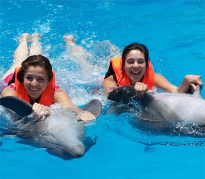 Delfines en Nuevo Vallarta Riviera Nayarit